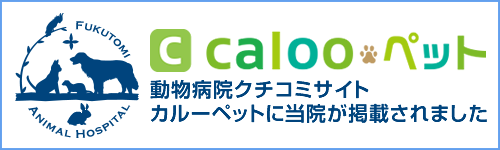 calooペット