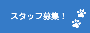 求人情報